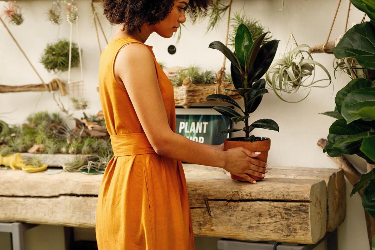 DIY Plant Hangers from Reused Plastic Bottles